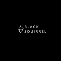 Black Squirrel Partners